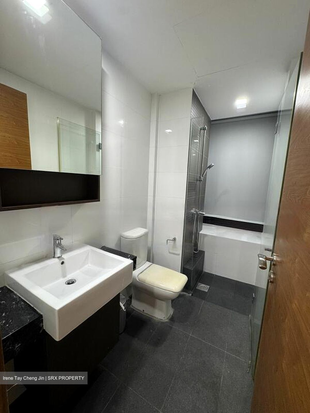 The Parc Condominium (D5), Condominium #476426401